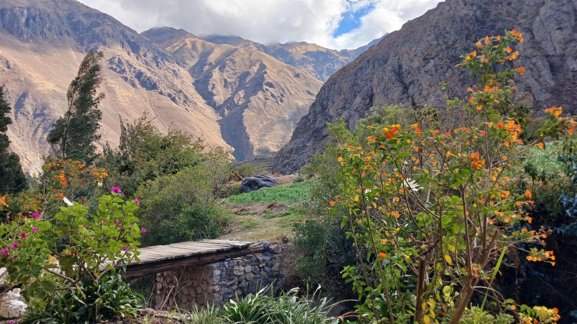 Aromas Andinos Lodge Ollantaytambo Eksteriør billede